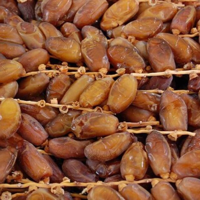 Pemborong Kurma Supplier
